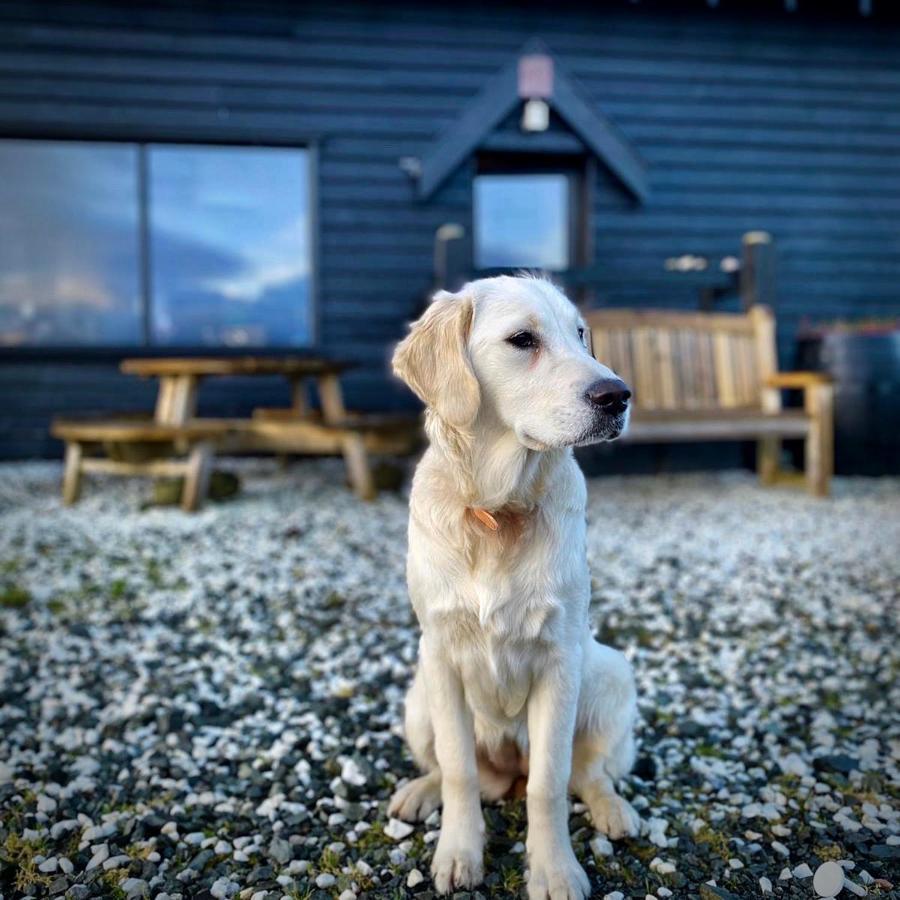 Villa Chasing The Moon Skye à Portree Extérieur photo